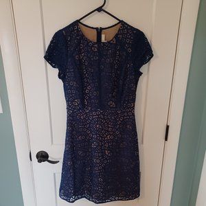 Loft blue lace dress